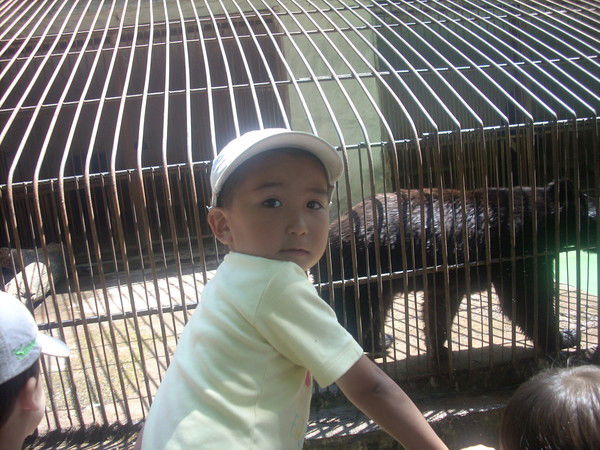 Назым Рахметова