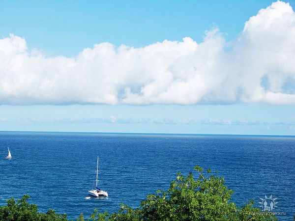 Галина Осадчая