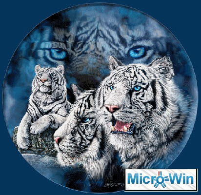 Гульмира Муканова