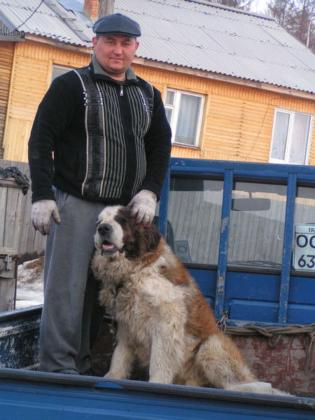 Владимир Шенфельд