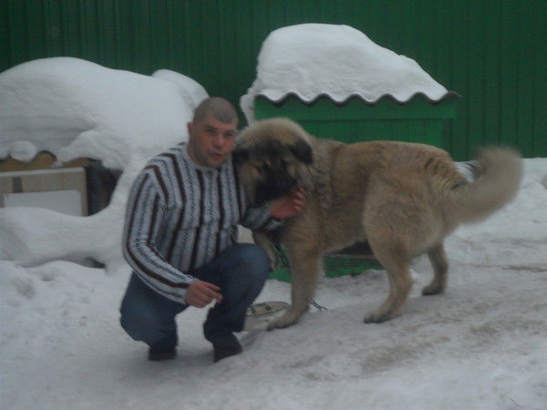 Игорь Котельников