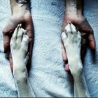 Анастасия Веригина