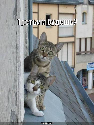 Руслан Савенков