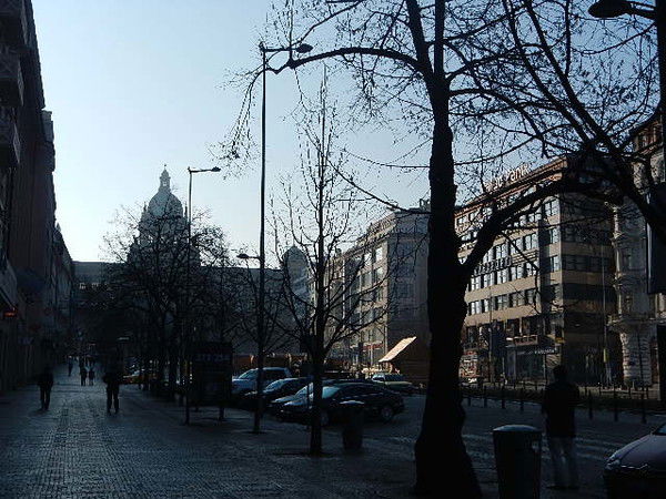 Софья Кайдановская