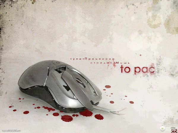 Платицин Александр