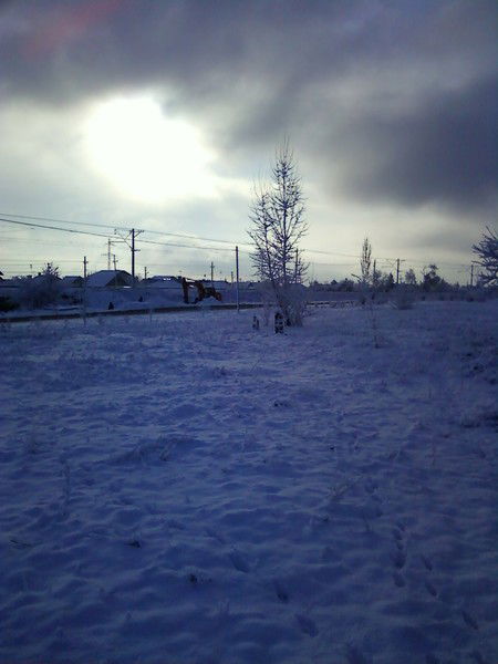 Андрей Шмигун