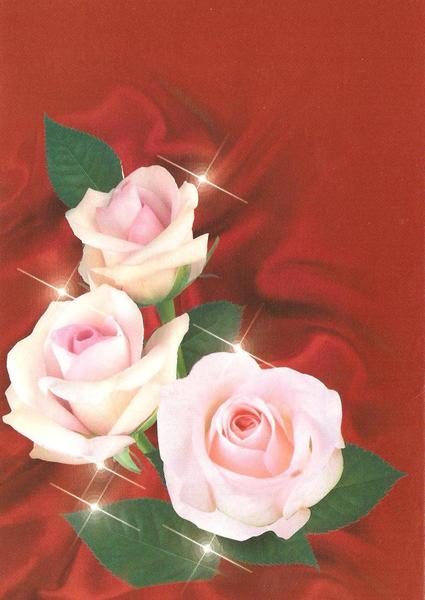 Лейла Какимова