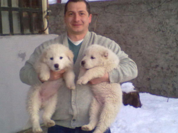 Ивери Зубиташвили