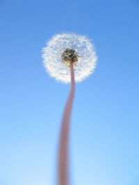 Лилия Мусиенко