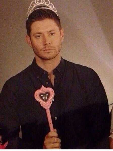 Света Король