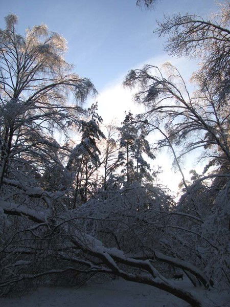 Михаил Пронягин