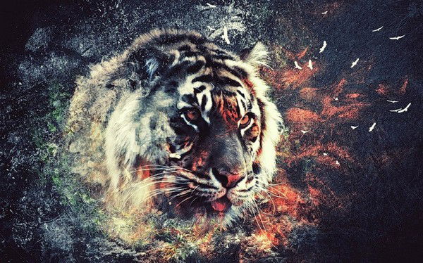 Игорь Иванов