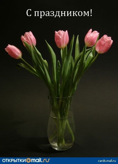 Гульназ Габбасова