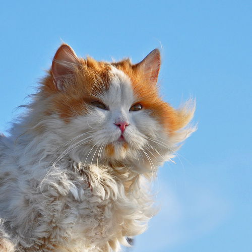 Юля Фролова