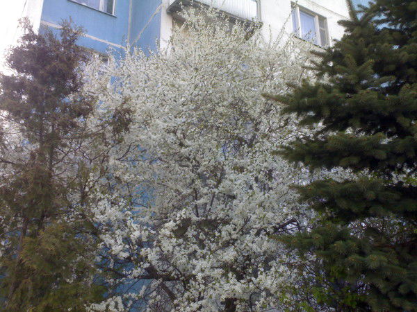 Татьяна Соколова