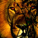 Сергей Казанцев