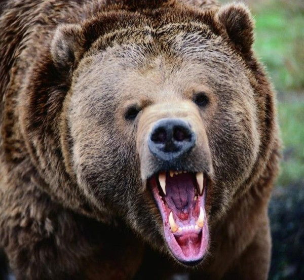 Михаил Селянин