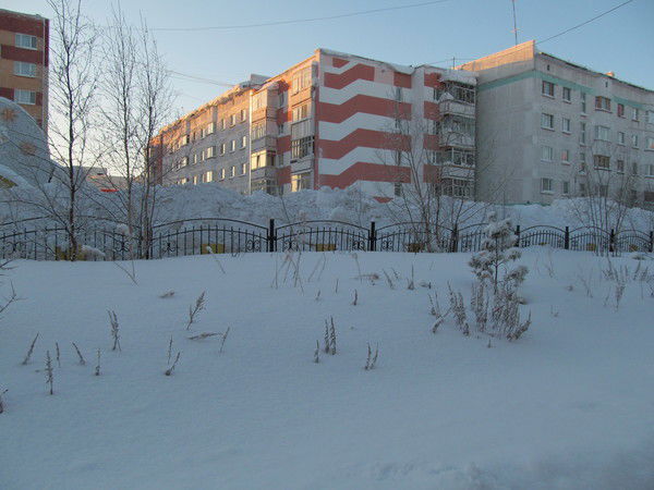 Владимир Писаревский