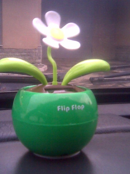 Рубцова Татьяна