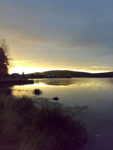 Ольга Жицкая