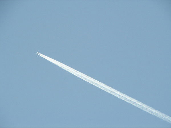 Оксана Иваненко