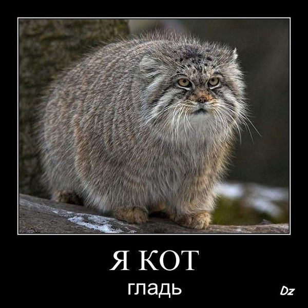 Михаил Филимонов