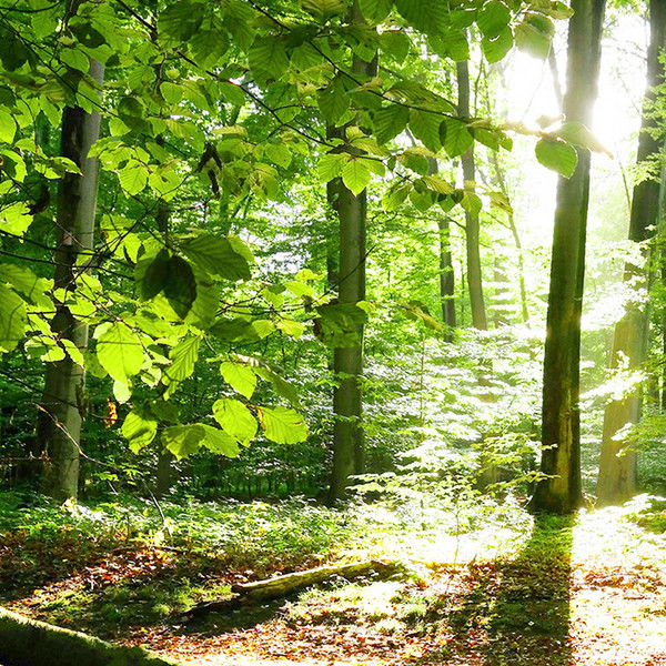 Руслан Абильтаров