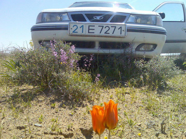 Тешаев Азмитдин