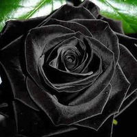 Ильдар Темирбулатов