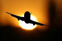 Елена Бушуева