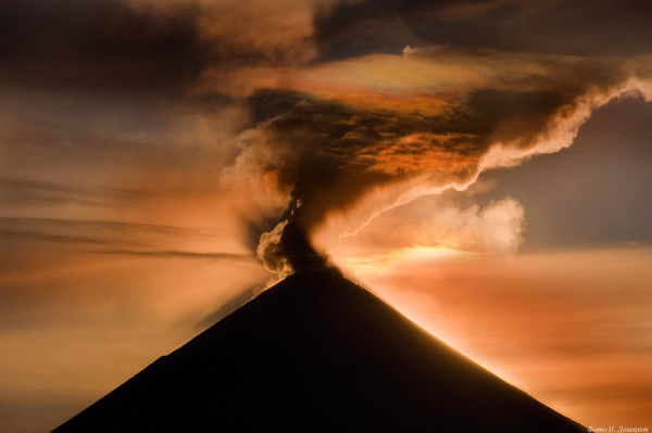 Евений Коломейцев