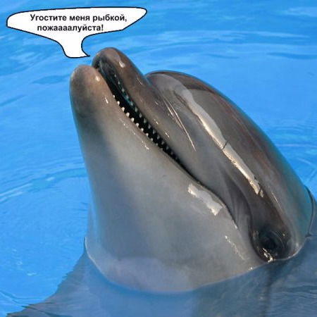 Карлыгаш Алипова