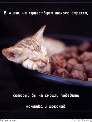 Литвинова Ольга