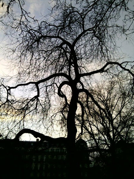 Олег Алаторцев