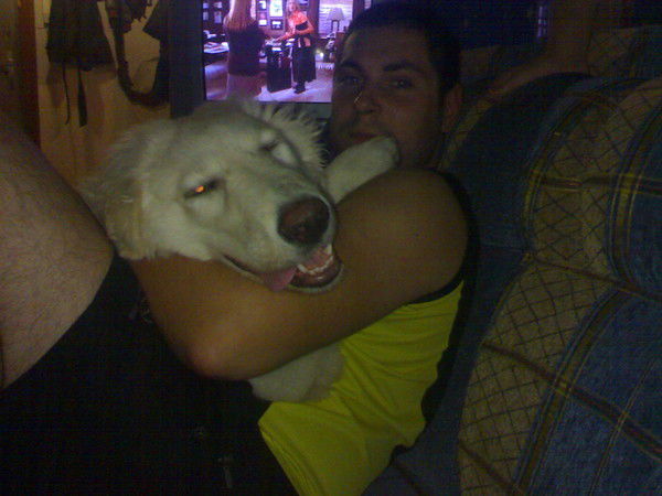 Сергей Остапенко