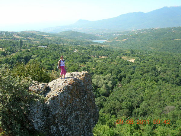 Настика Настик