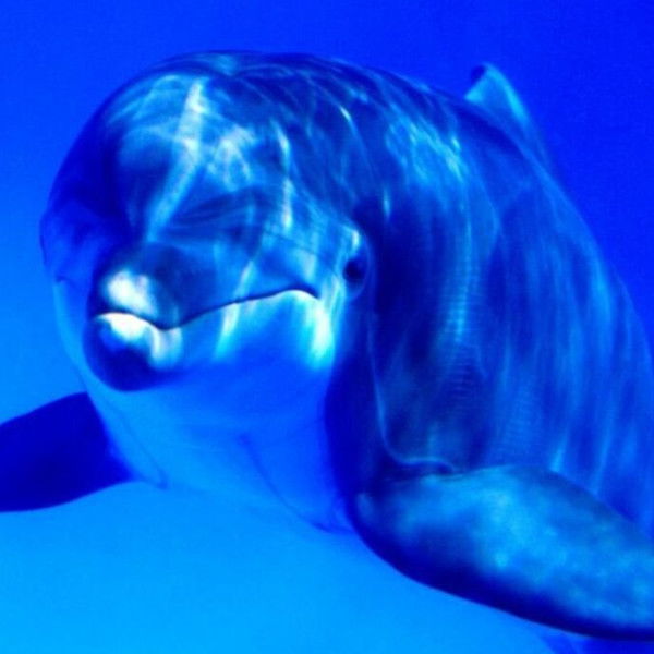 Ольга Самочёрнова