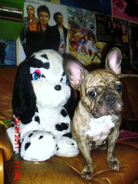 Ирина Чеховская