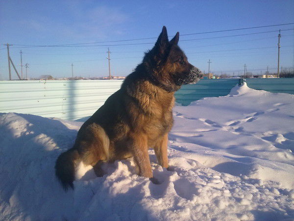 Van Van Hip-Hop_Haos