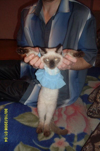 Надежда Алексеева