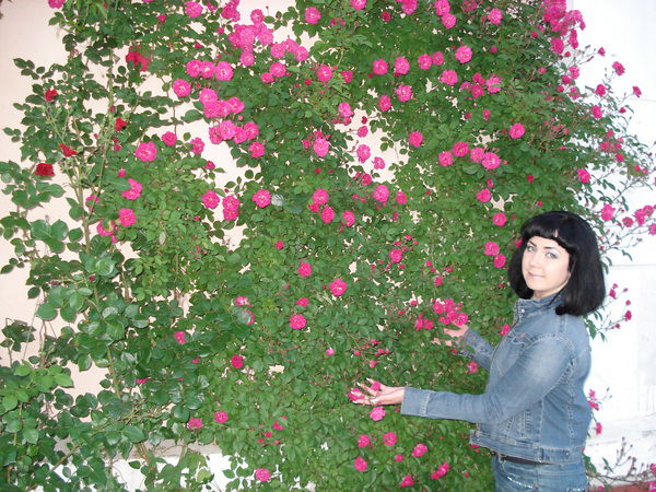 Виктория Михайленко