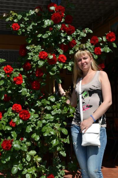 Инна Никитина