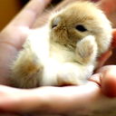 Дашик)))))**:** **
