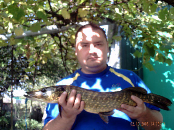 Александр Панченко