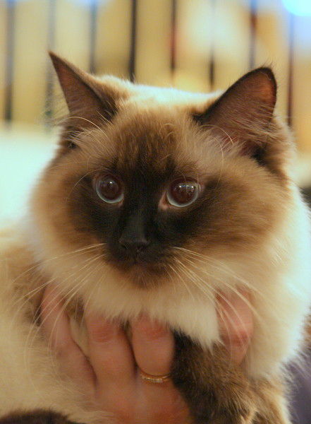 Валентина Кошкина