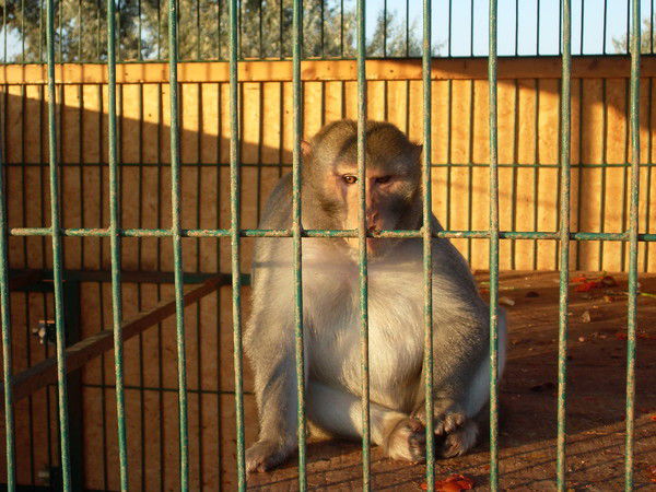 Юрий Куприенко