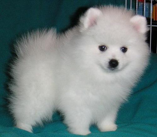 Яна Егорова