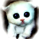 Леон #######