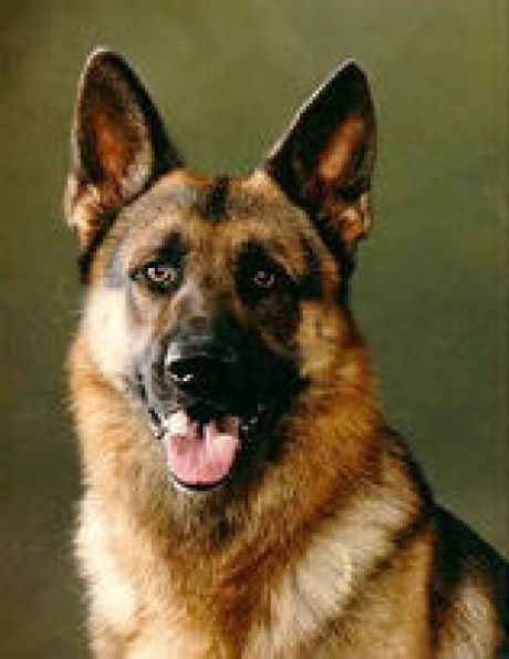 Татьяна Шевнина