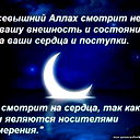 Эмиль Шамшиев